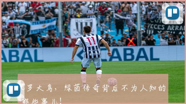 C罗大鸟,绿茵传奇背后不为人知的那些事儿!