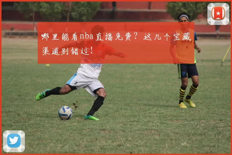 哪里能看nba直播免费？这几个宝藏渠道别错过！